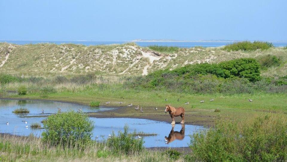 Jagershuistexel Bed and Breakfast Oosterend  Eksteriør billede